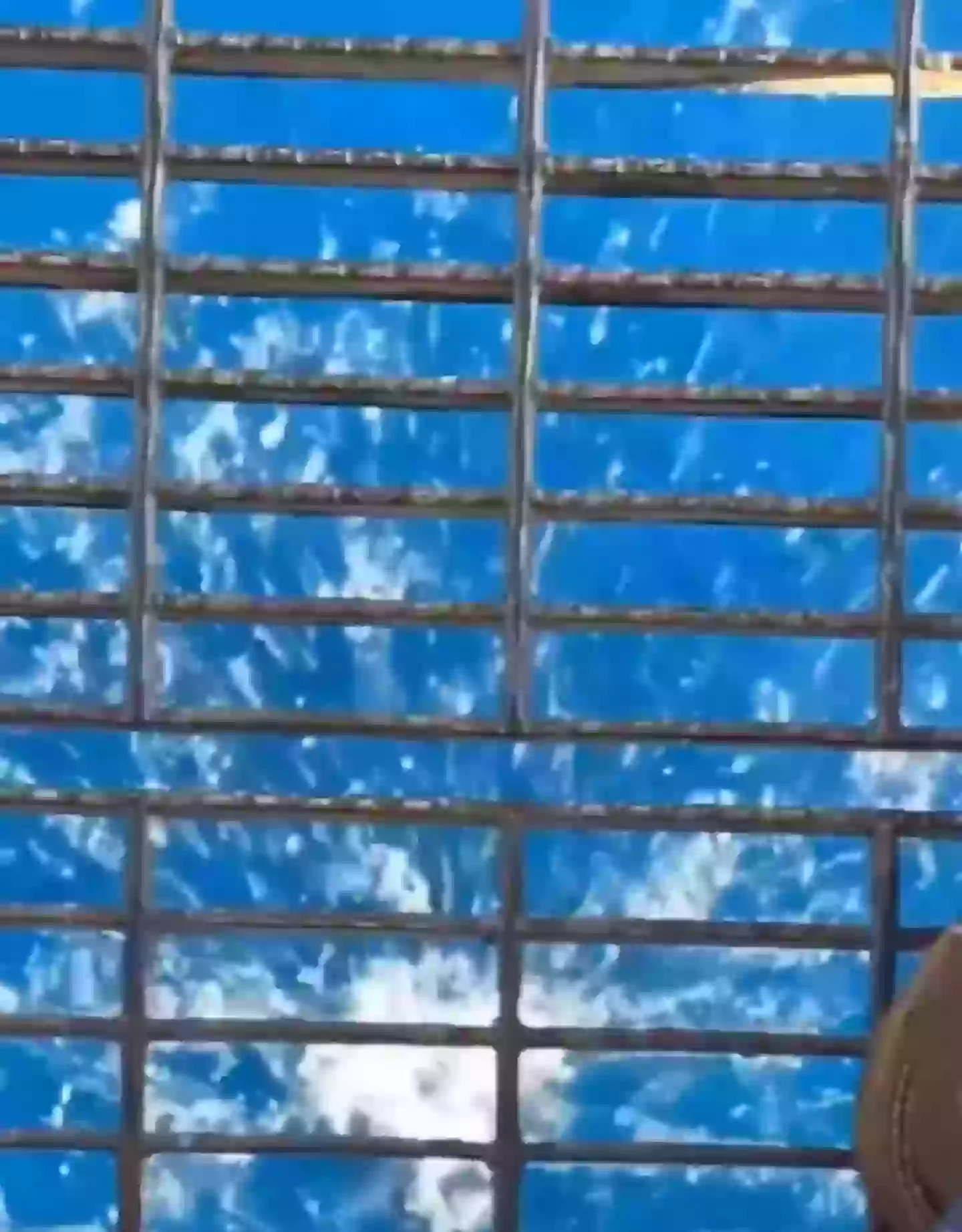 Survival of the fittest and all that (Reddit)