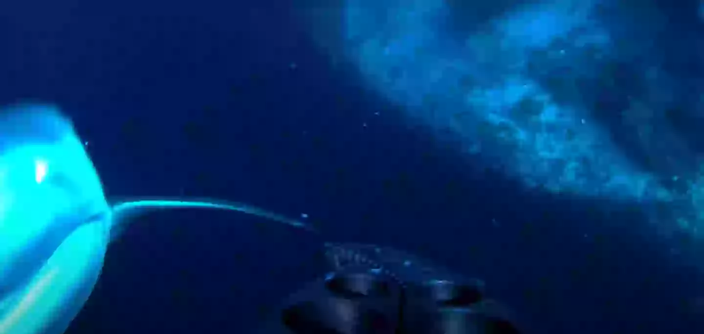 Maybe he's not so friendly after all (YouTube/Will Mitchell)