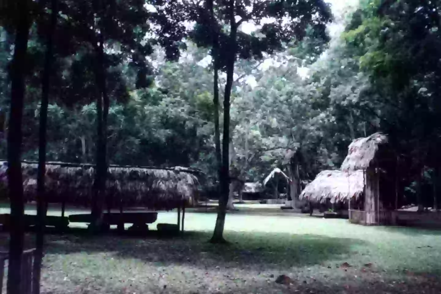 The 'blood cave' is located below the Mayan city of Dos Pilas (Simon Burchell / Wikimedia Commons)