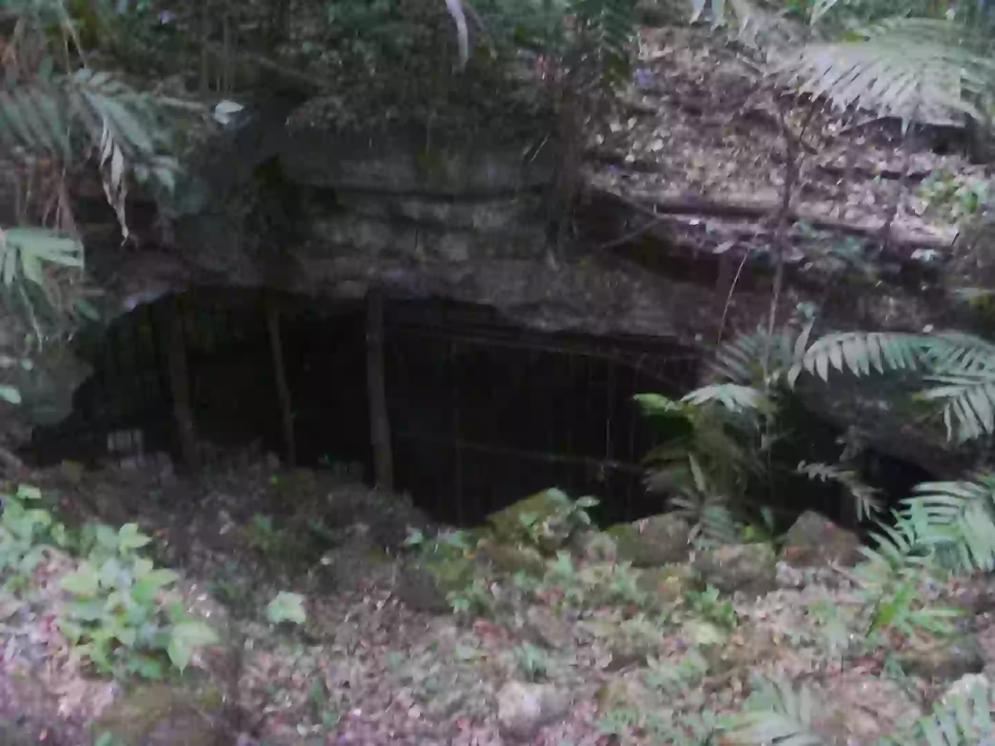 An entrance to one of the caves at the archaeological site (Wikimedia Commons/Noche de la pena CC BY-SA 3.0)