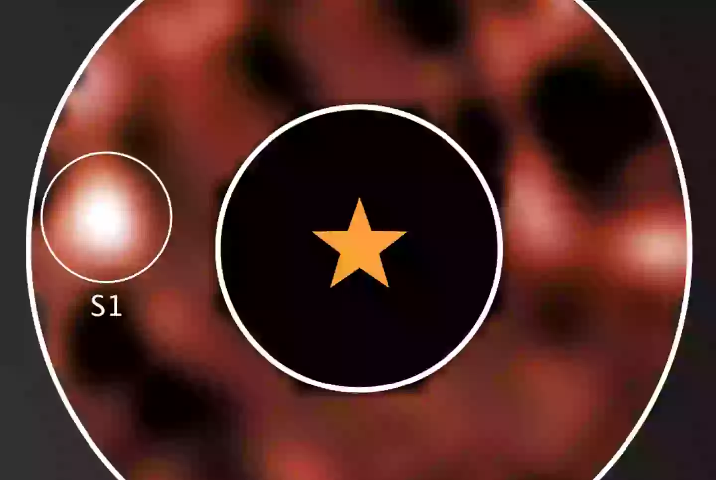 NASA believes that they have identified the candidate planet through images (NASA)