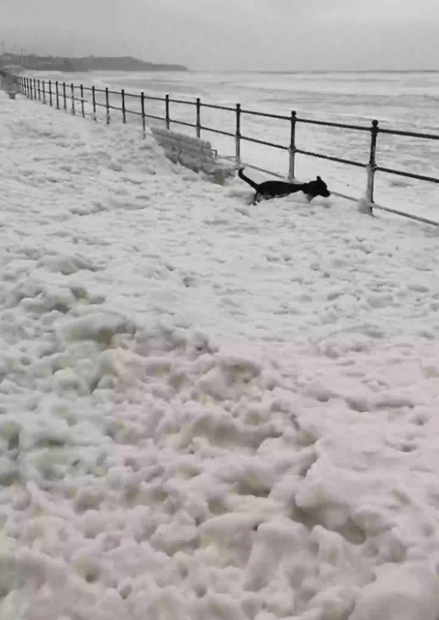 Videos are emerging on social media, appearing to show a 'cloud of foam' - that looks a bit like snow - in common coastal locations across the UK.