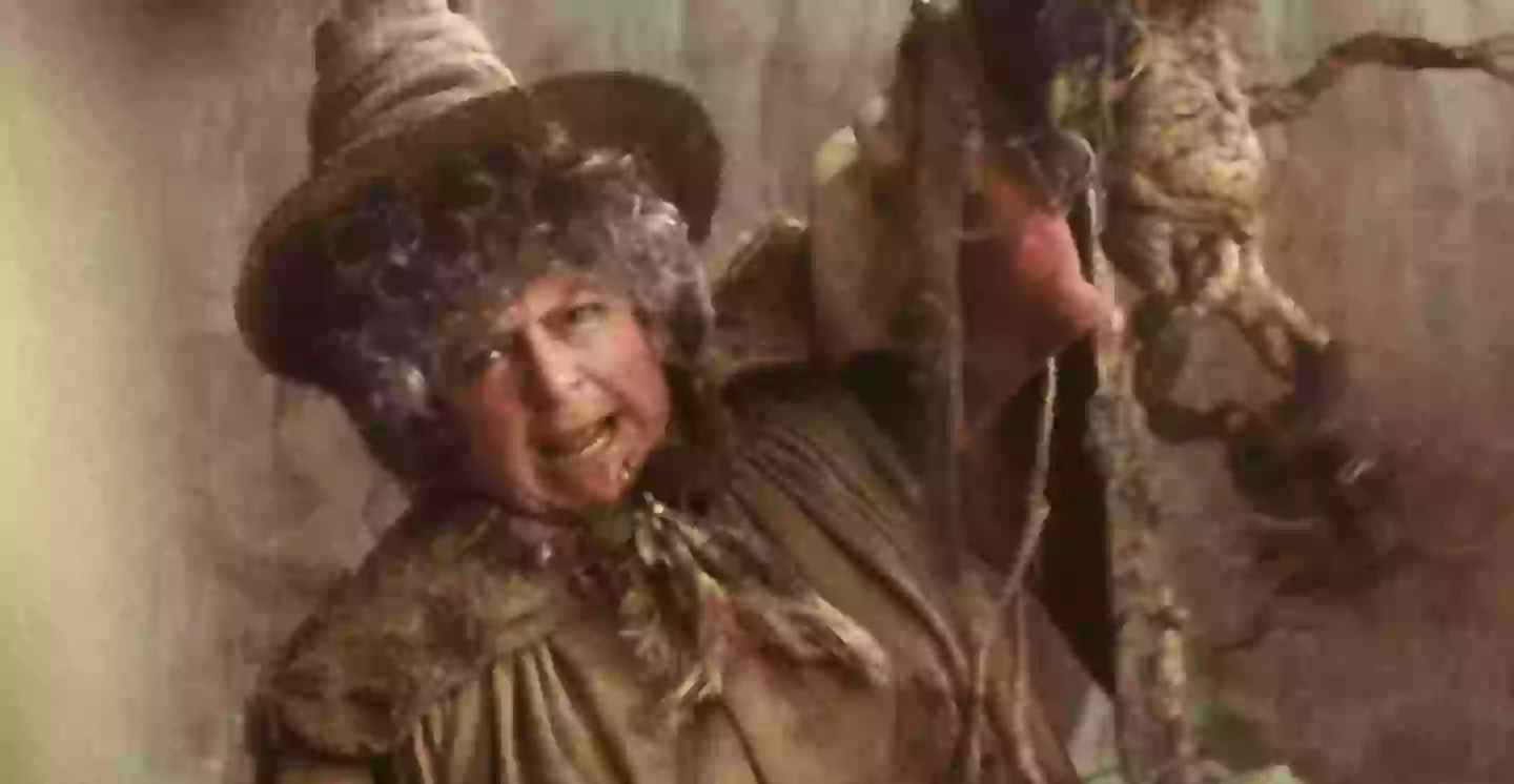 The actor is beloved by many for her role as Professor Sprout in the Harry Potter films (Warner Bros.)