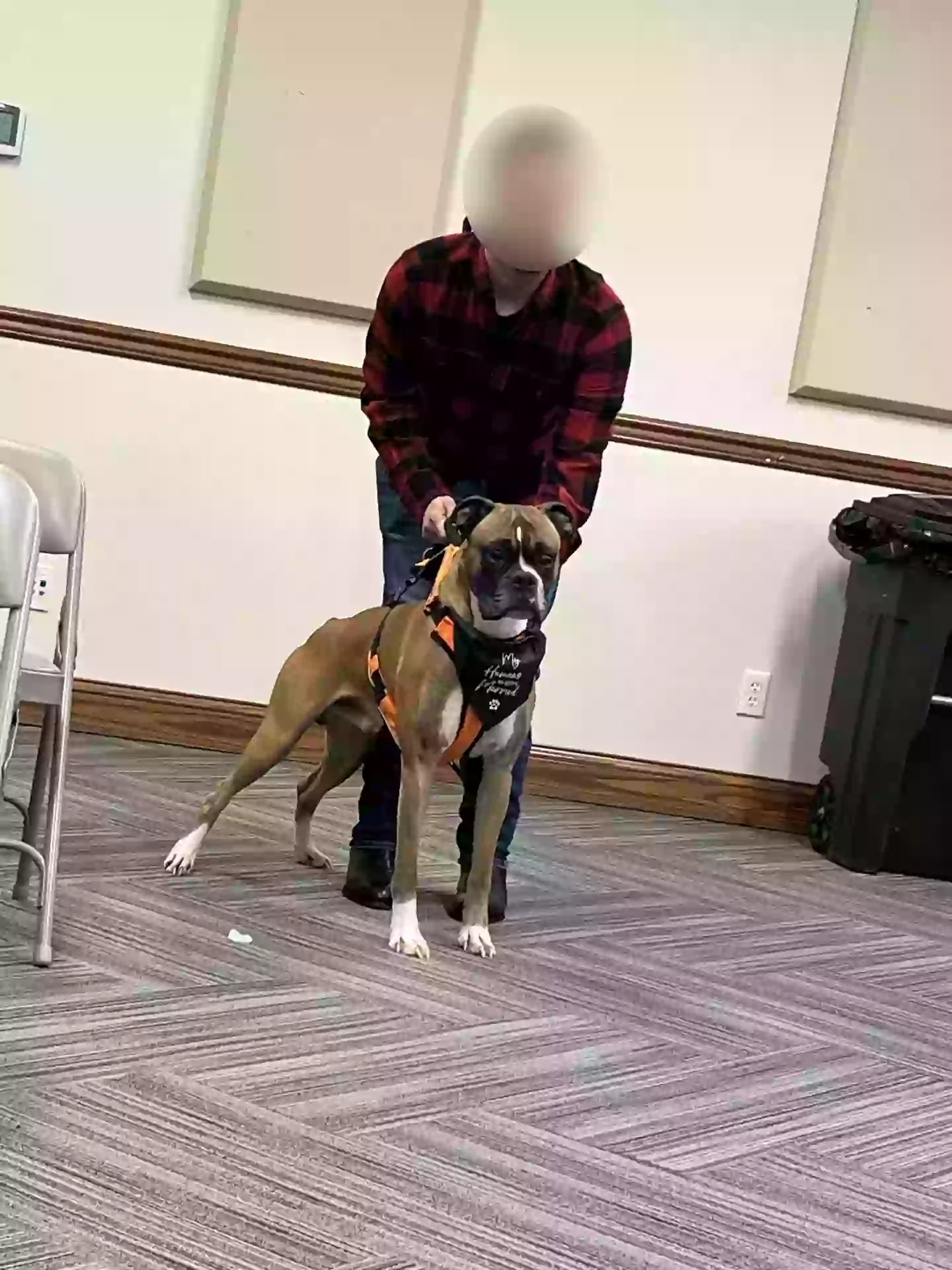 They had a dog bear the rings for them (Kennedy)