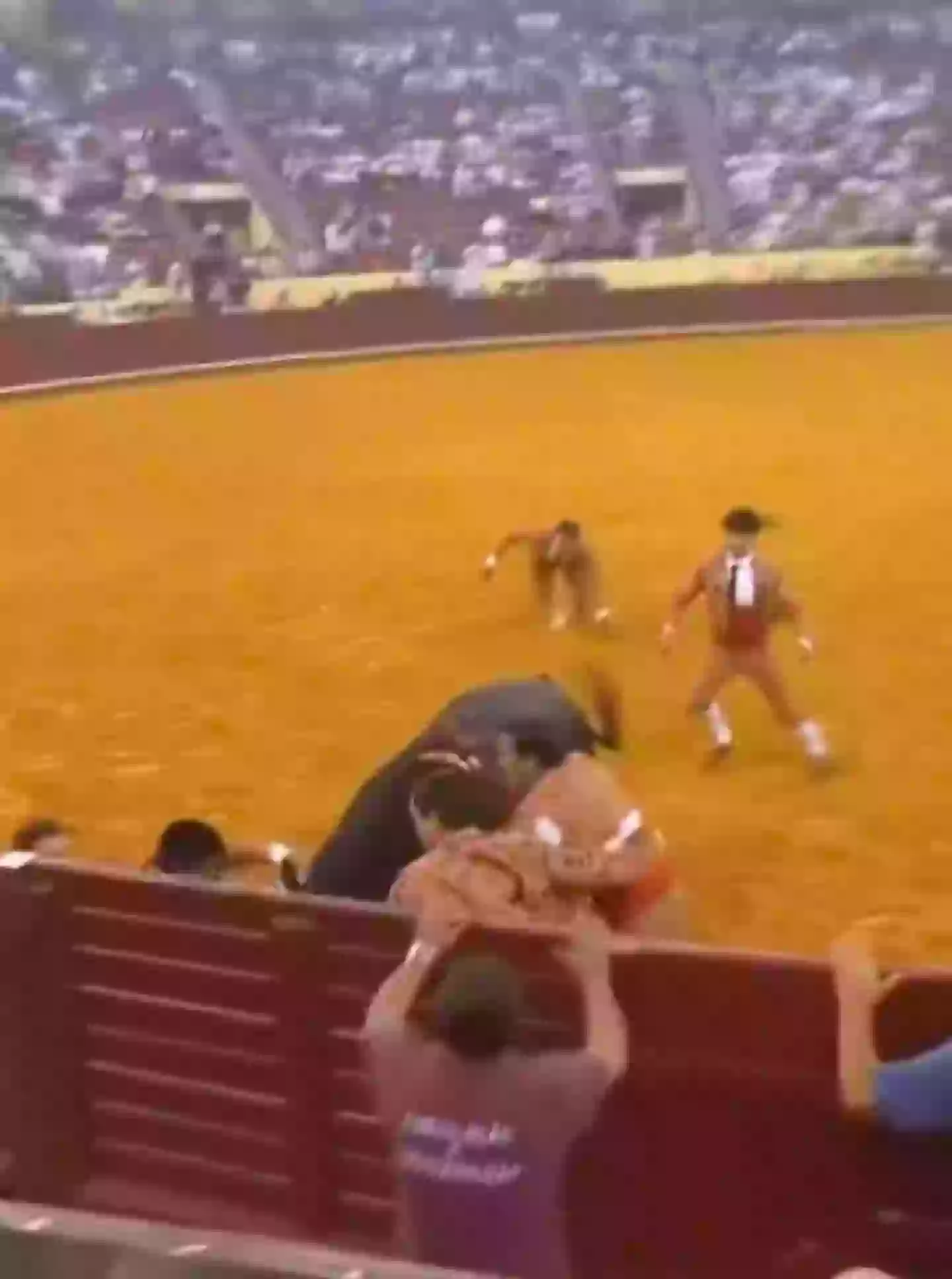The 22-year-old's fellow bullfighters struggled to wrestle the animal away from him (X)