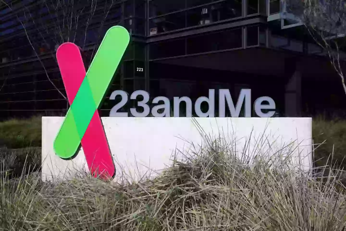 23andMe has filed Chapter 11, which means it's functionally bankrupt and sorting out its finances ahead of an attempt to find buyers (Justin Sullivan/Getty Images)