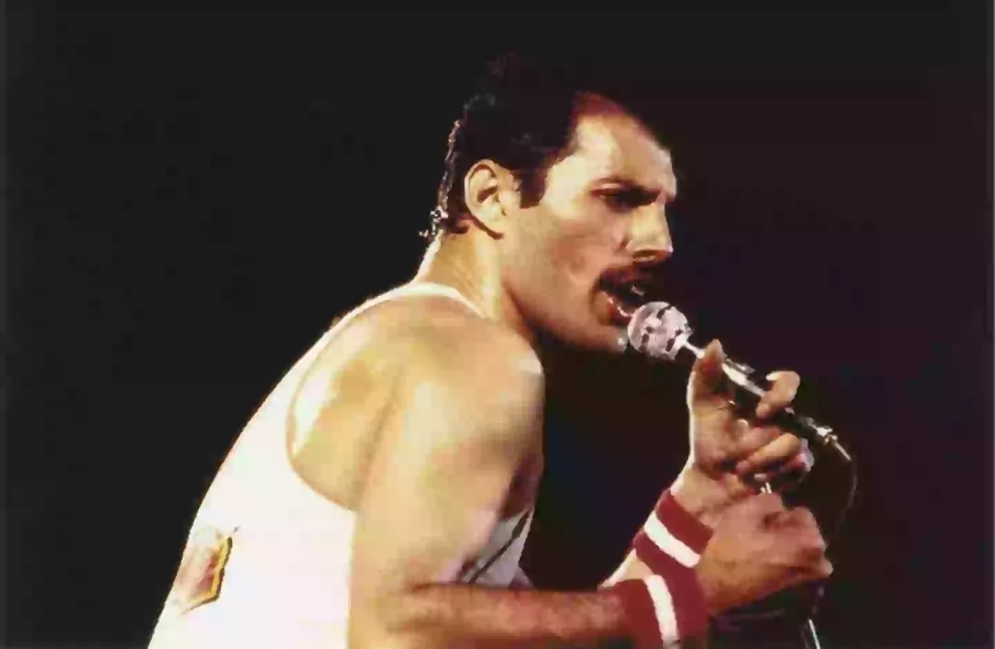 A new biography has claimed that Freddie Mercury fathered a secret daughter (Graham Wiltshire/Getty Images)