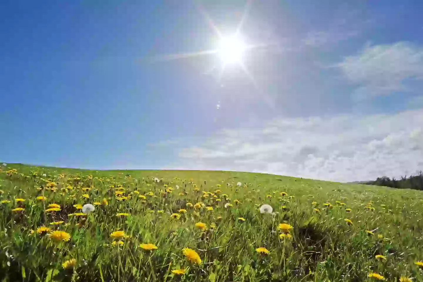 Scientists are looking at deflecting some of the Sun (Getty Stock)