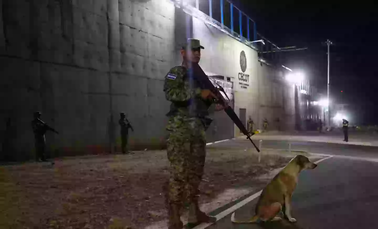 El Salvador's leader described the potential plans as a chance for the US to 'outsource part of its prison system'(Alex Pena/Anadolu via Getty Images)