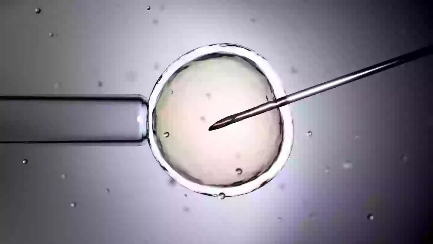 Krystena Murray underwent two years of IVF (Getty Stock Images)