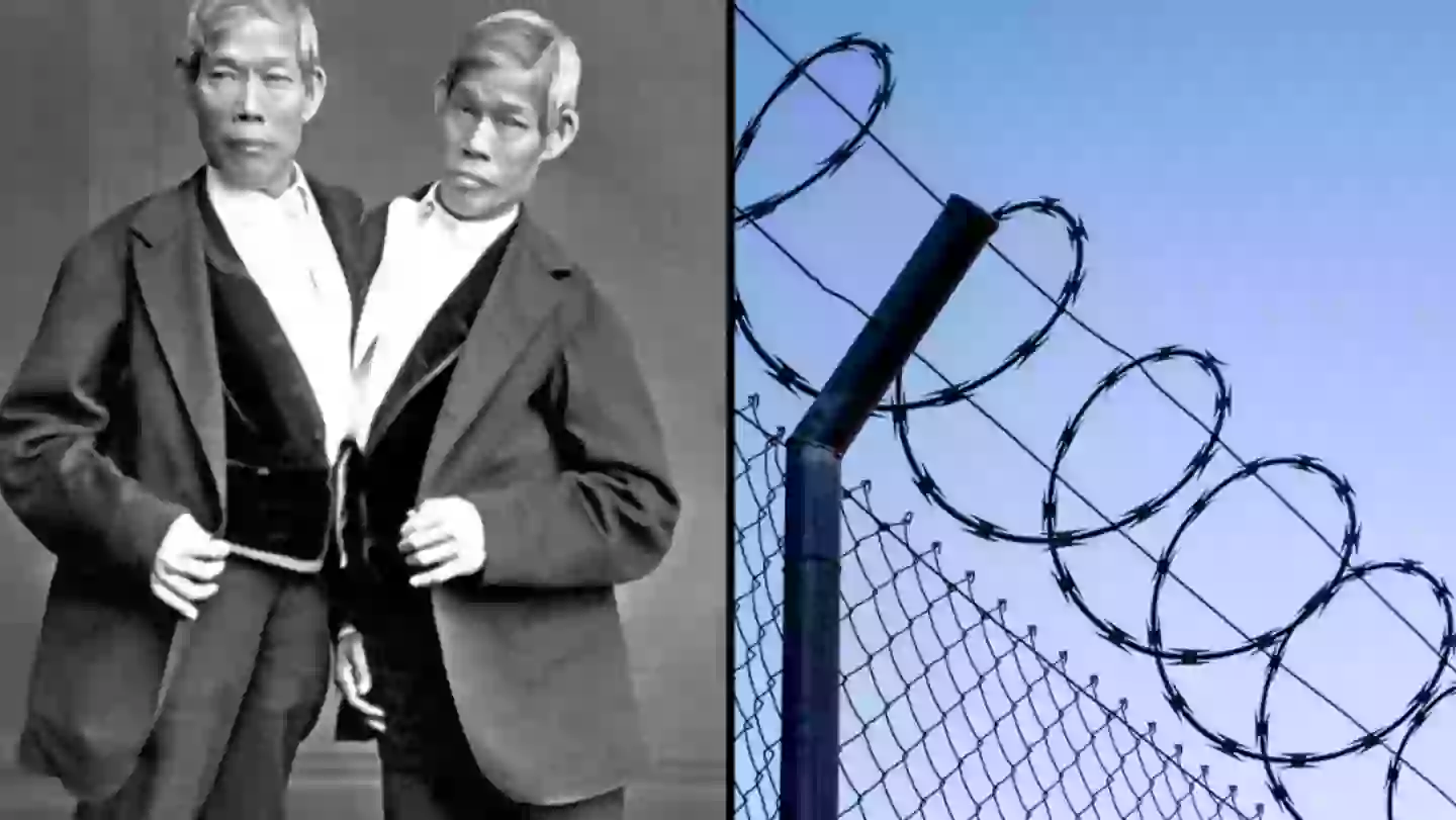 What happens if one conjoined twin commits a crime but the other is innocent