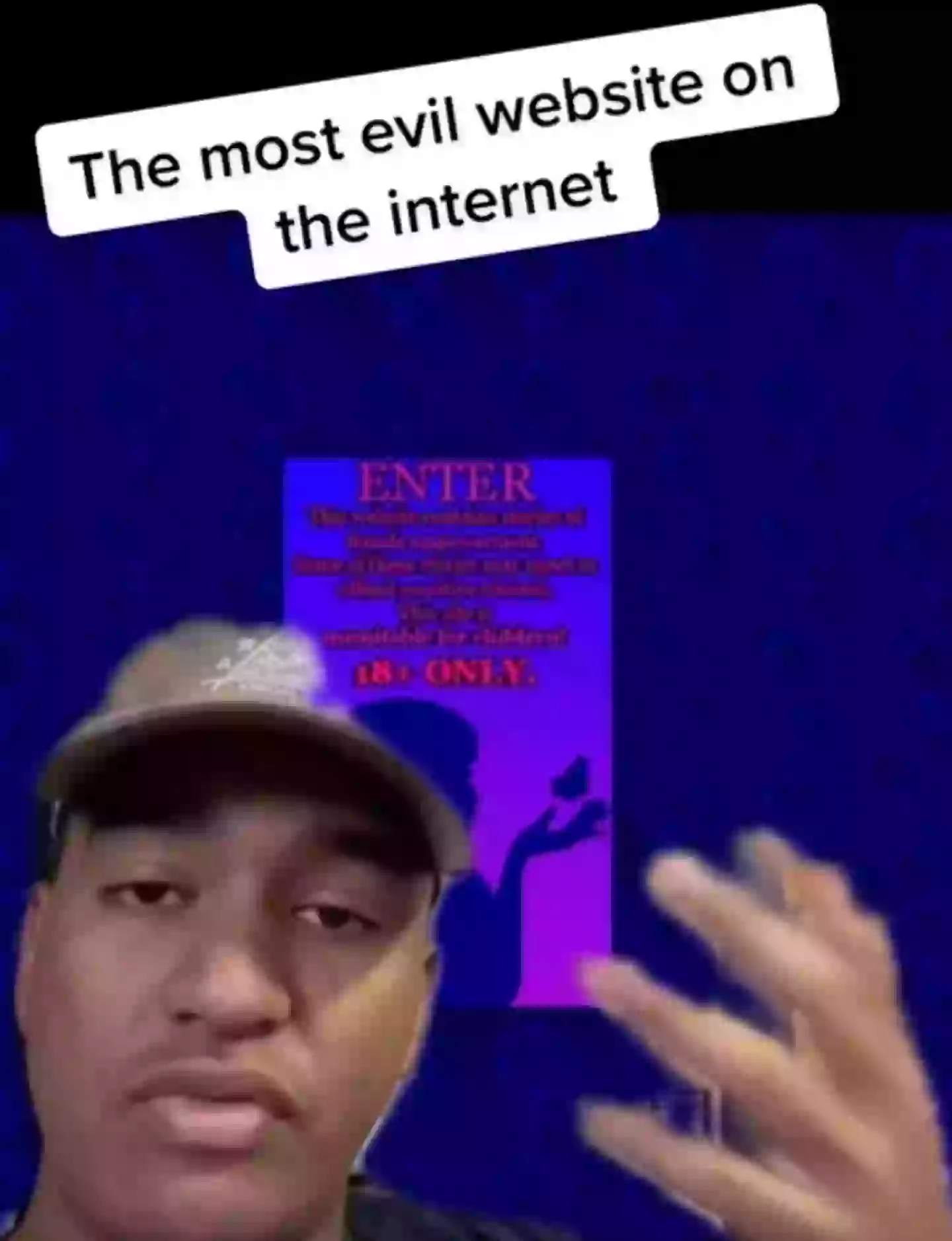 You should avoid the website at all costs (TikTok/@sp0uk_)