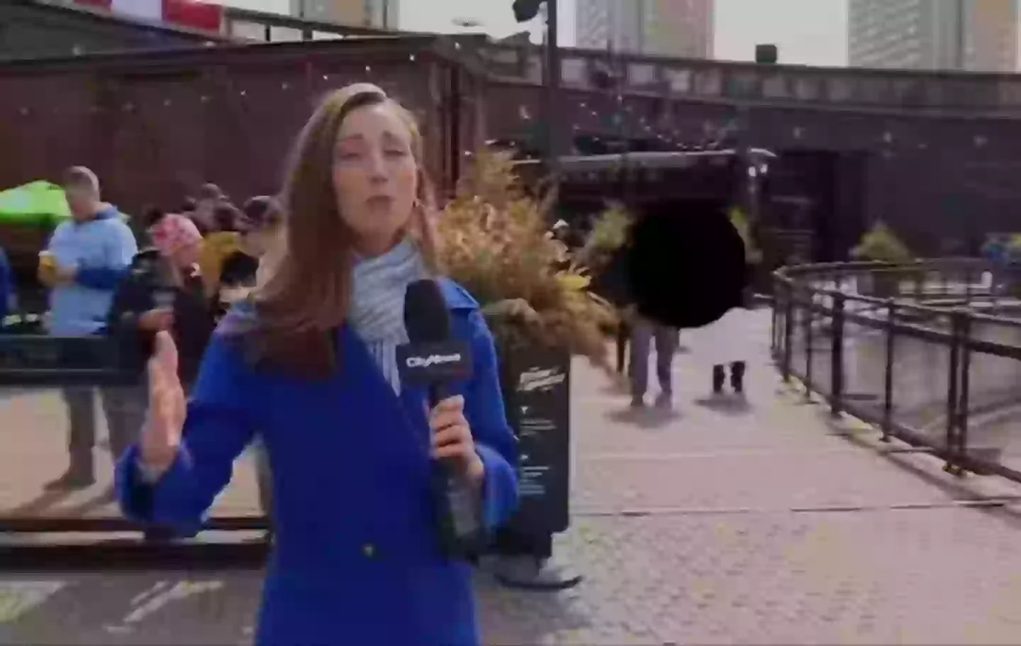 She has called for the end of the trend (TikTok/michellemackeytiktok)