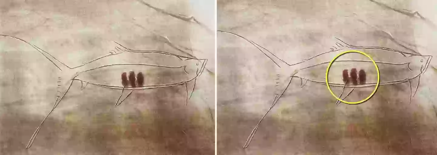 The markings had remained a mystery for centuries.