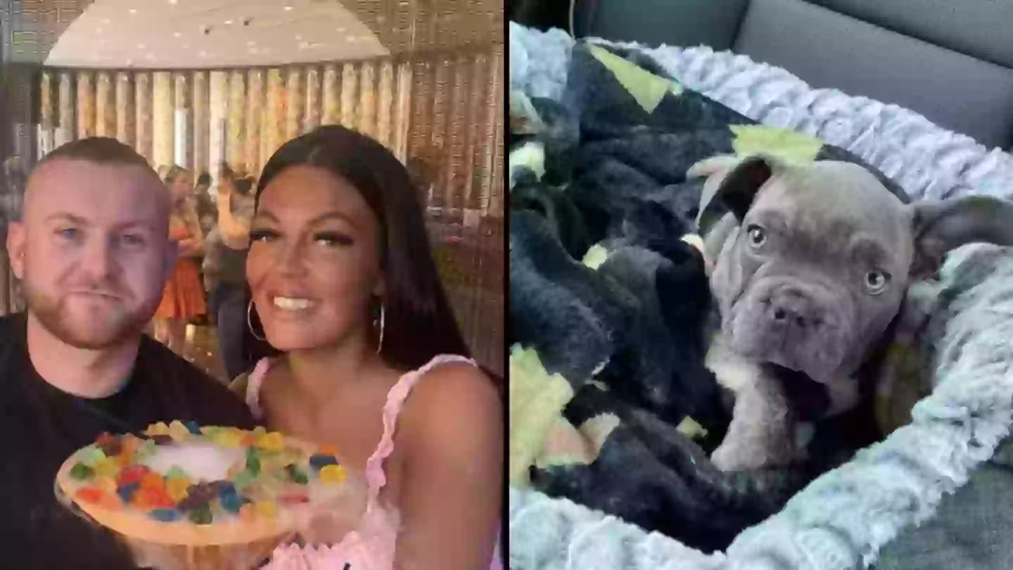 Facebook/ Adam Gardner McLean