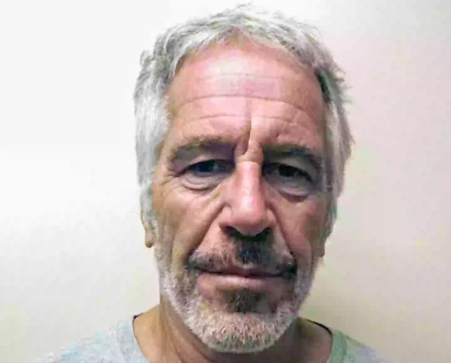 Epstein died in the Manhattan prison in August 2019 while awaiting trial (Kypros/Getty Images)