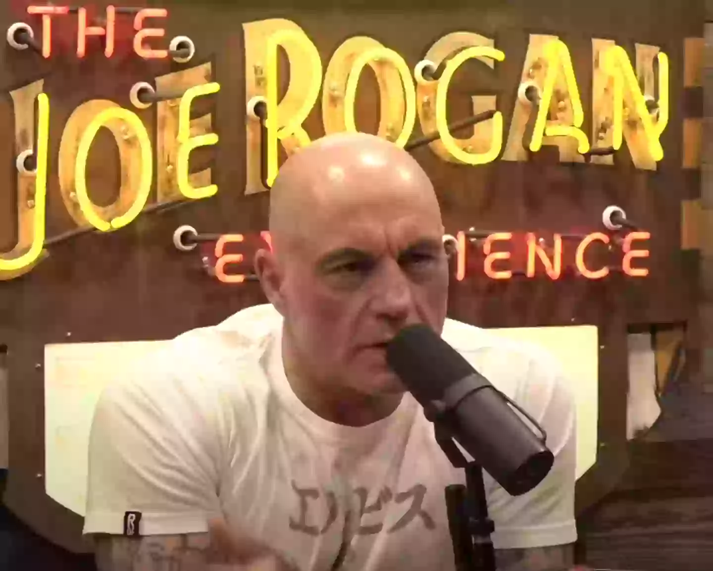 Rogan and Musk sat down for another three hour chat (YouTube / joerogan)