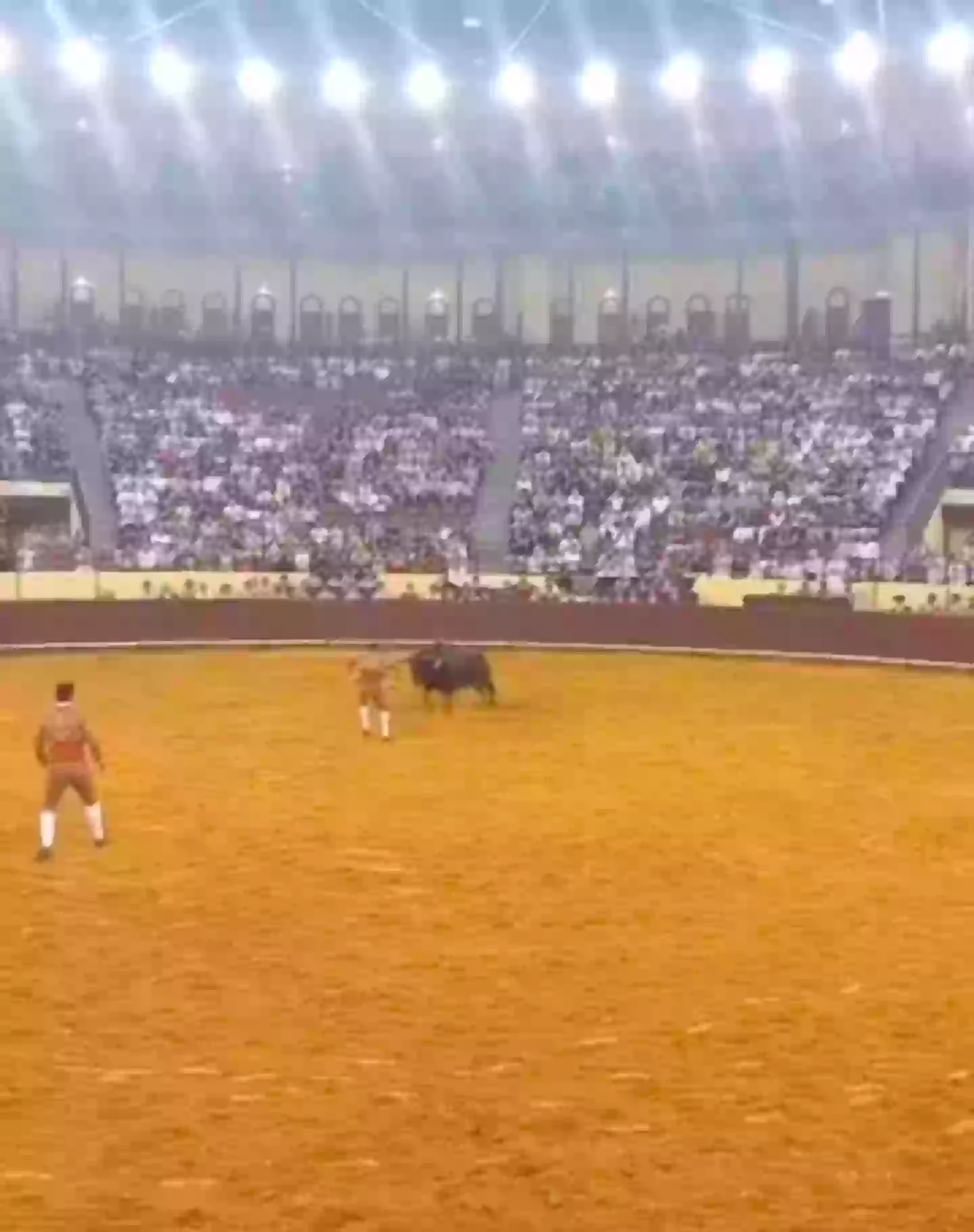 Trindade seen provoking the bull seconds before it bolted at him on Friday (X)