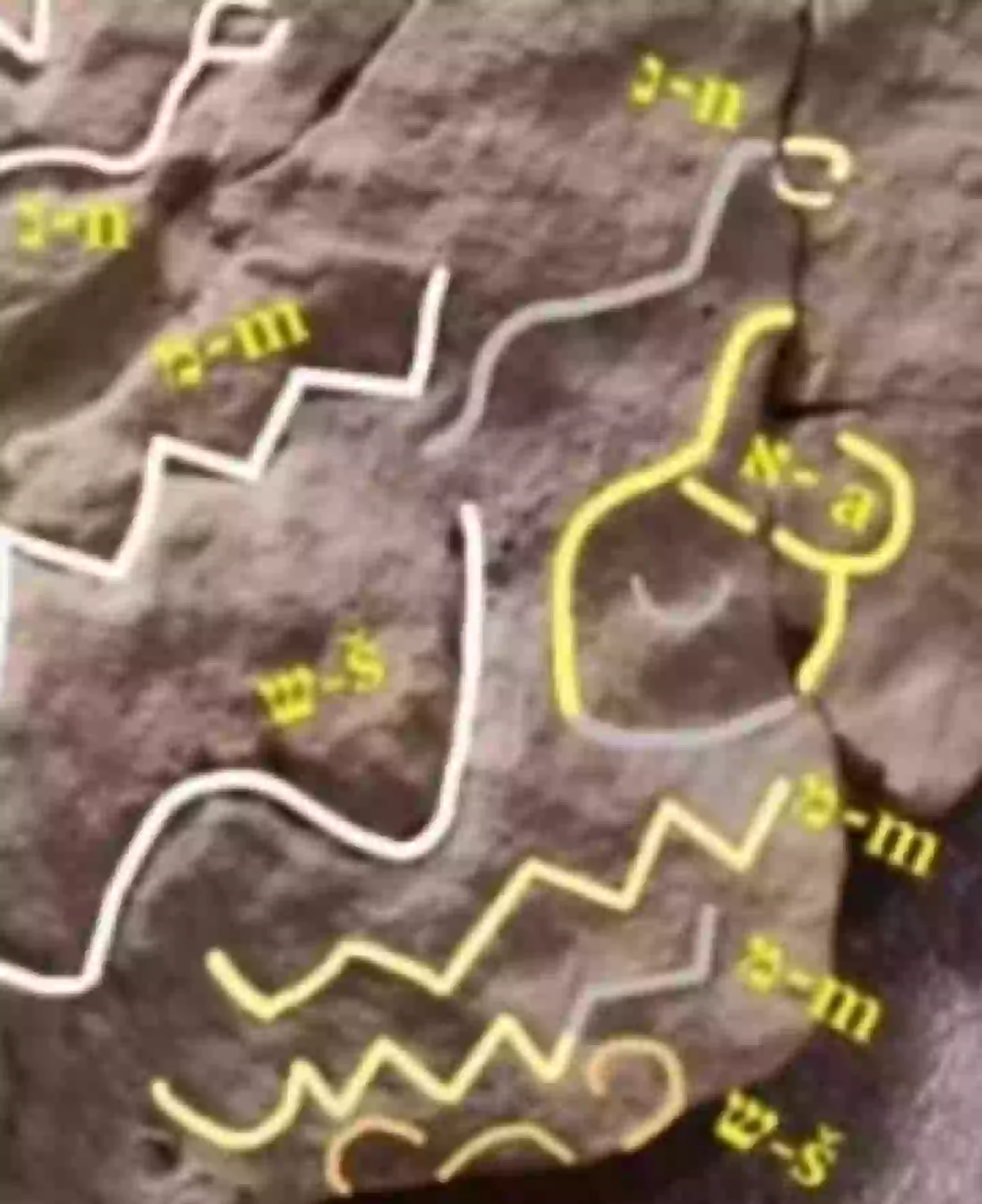 The discovery was made in an Ancient Egyptian mine (Johannes Gutenburg University of Mainz)