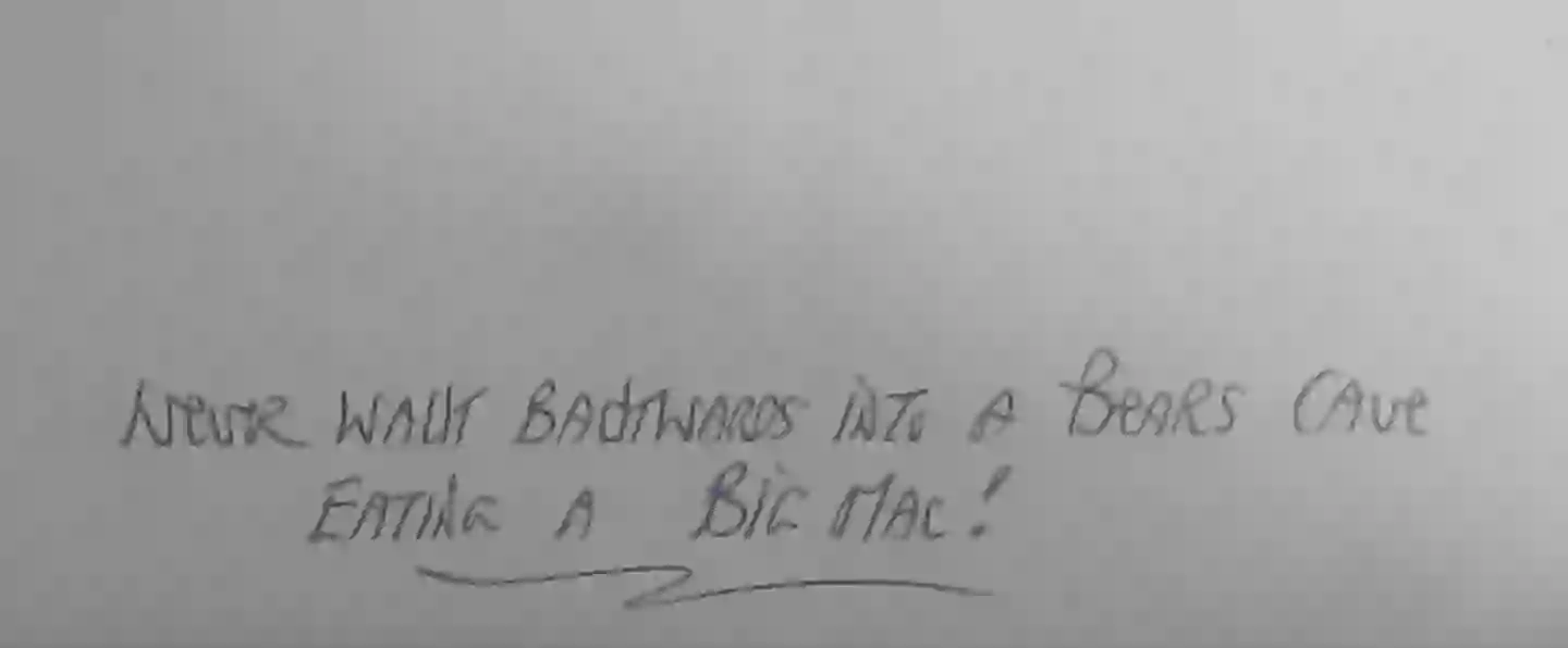 Bronson's letter was addressed to a fan of the criminal's.