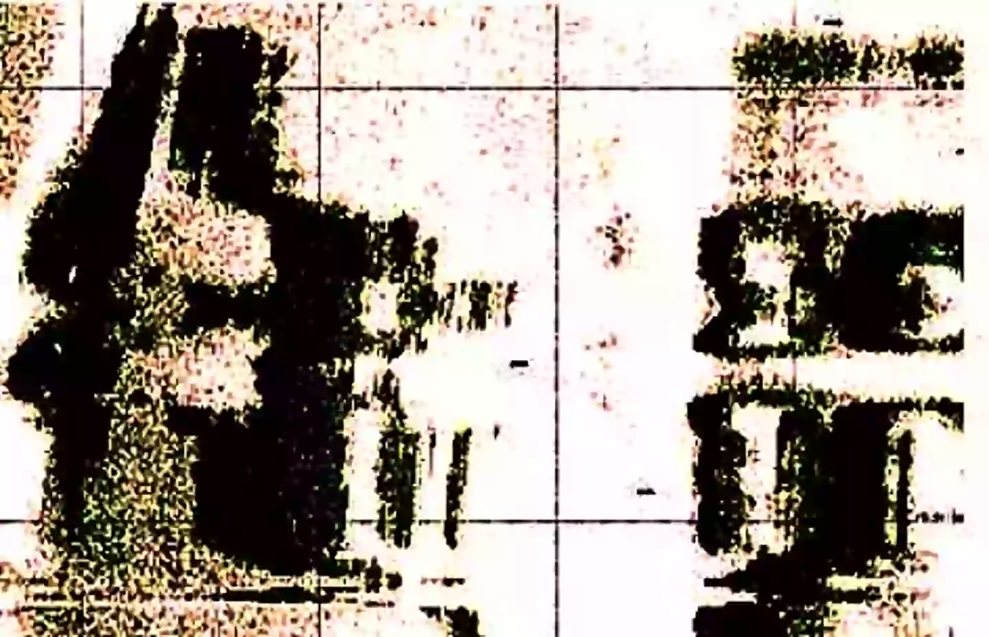 Sonar images picked up images of underwater structures that may have been man-made (Advanced Digital Communications)