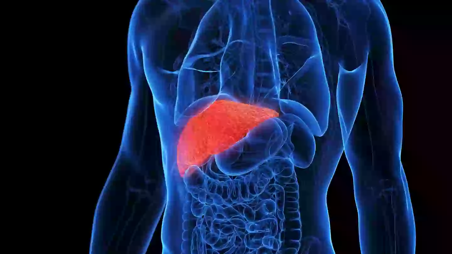 The tests included a scan of the liver, with the results leaving Clarkson surprised (Getty Stock Images)