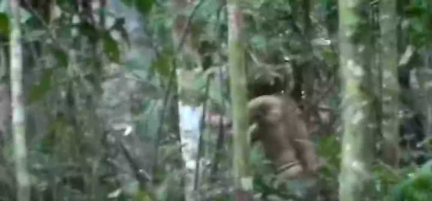 He was seen hacking at a tree with a homemade axe in secret footage (USA Today/YouTube)