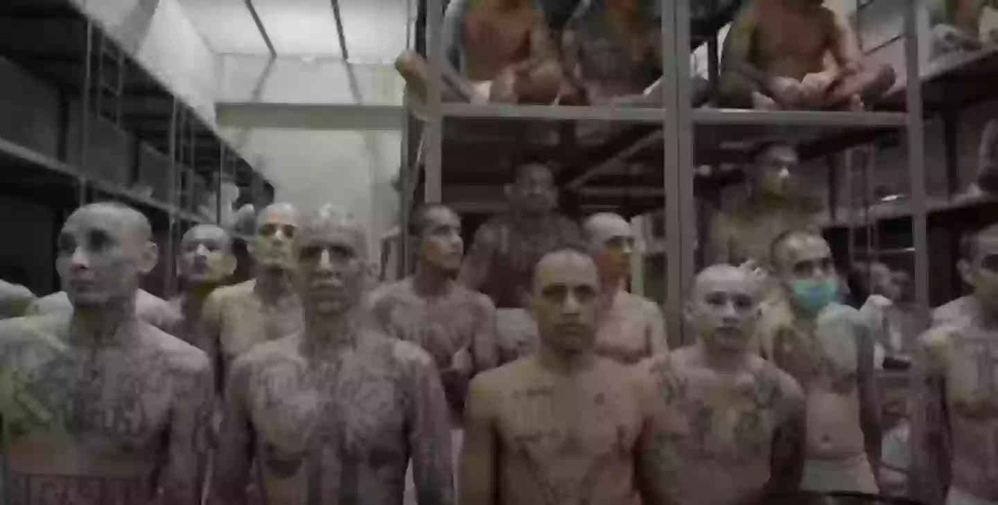Alleged members of drug gangs have already been deported to El Salvador's notorious prison (YouTube/CNN)
