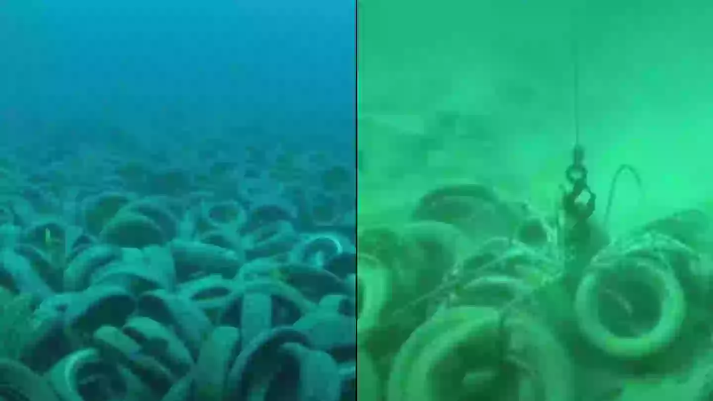 Shocking results dumping two million tyres into the ocean in eerie experiment had 50 years later