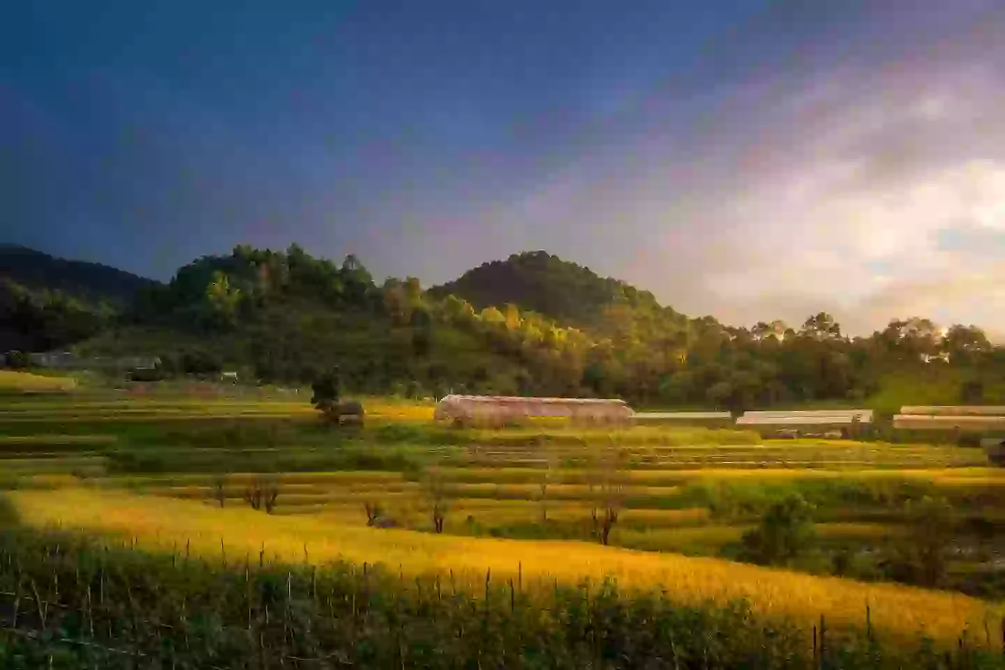 Villages of refugees in Thailand's Mae Hong Son district have caused controversy (Getty Stock Image)