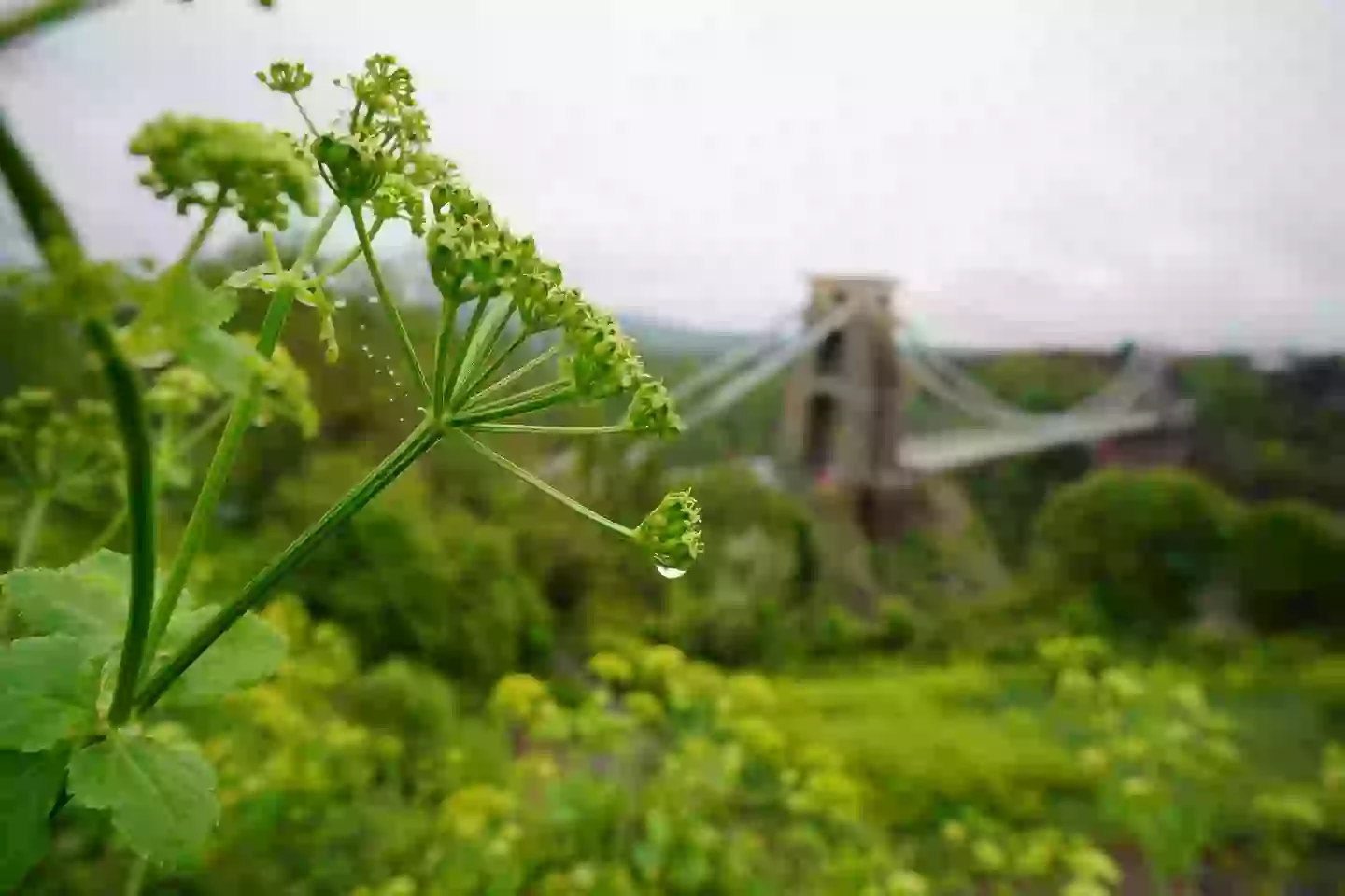 Clifton Suspension Bridge (Ben Birchall/PA Wire)