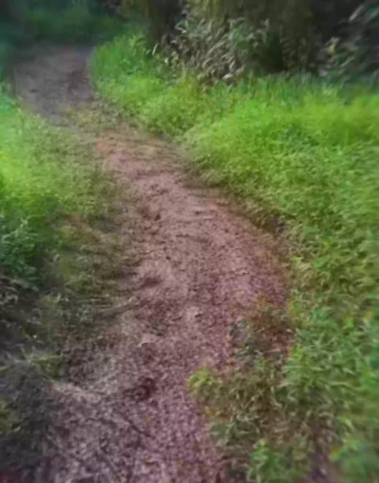 Most people agreed that the clip was a scarily accurate depiction of an LSD trip (Reddit)