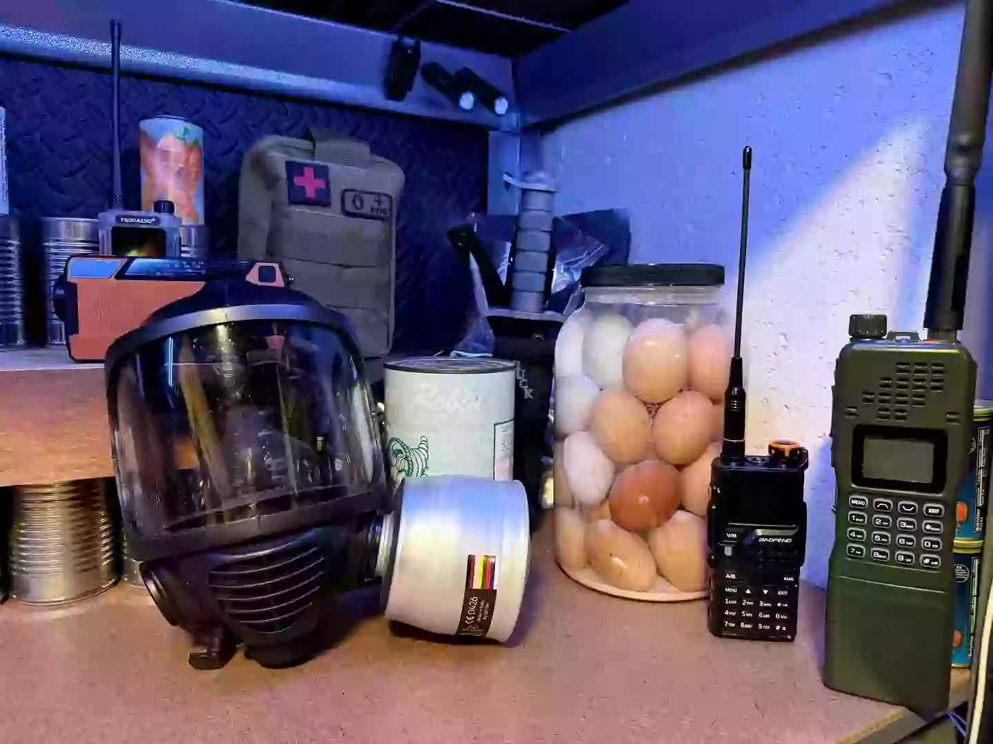 When looking for food, he recommended things that won't go off quickly (Derrick James/SWNS)