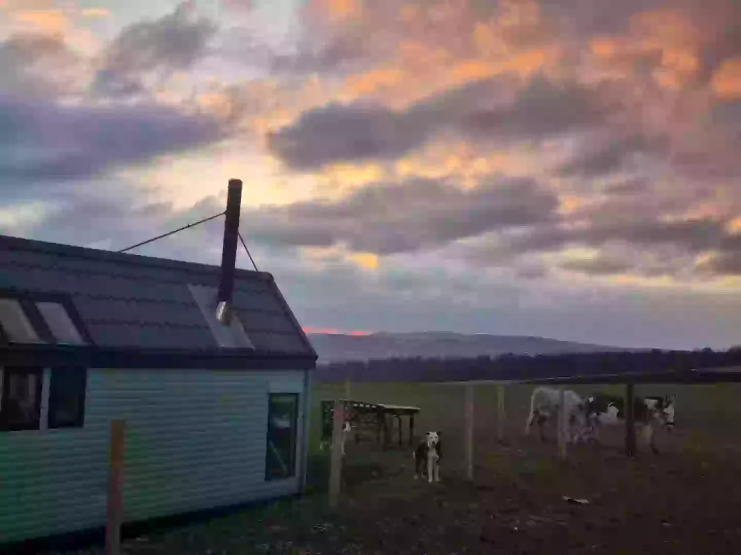 The couple say moving off-grid made their relationship stronger (SWNS)