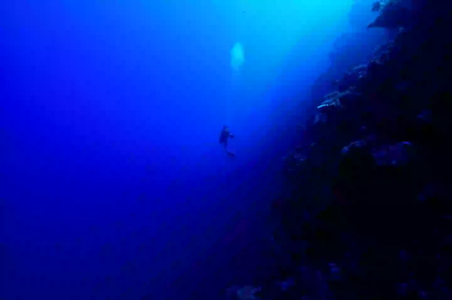 It's a completely different world down there... (Getty Stock Images)