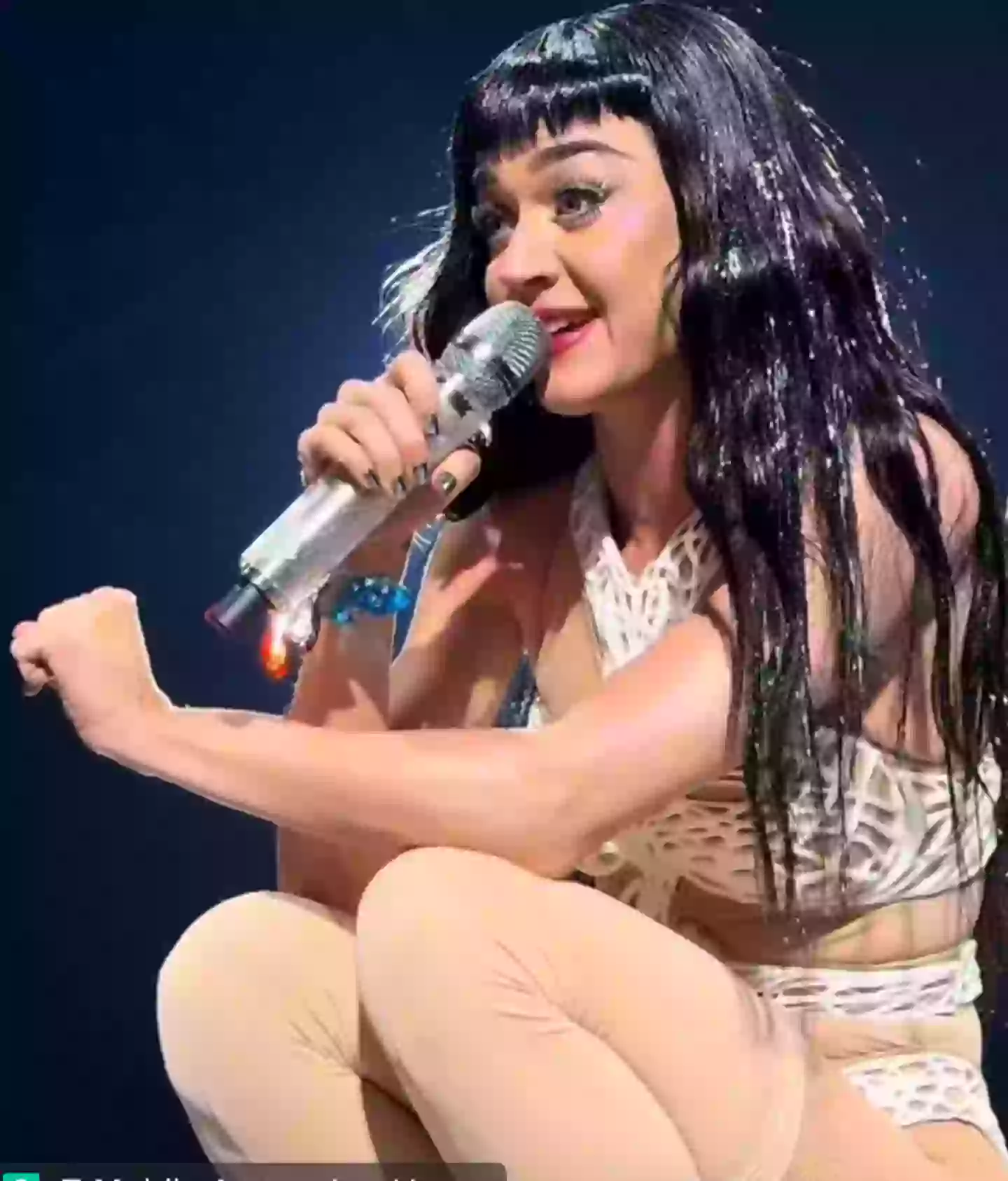 Katy Perry left one of her fans speechless during her Lifetimes world tour (TikTok/@143katyperry)