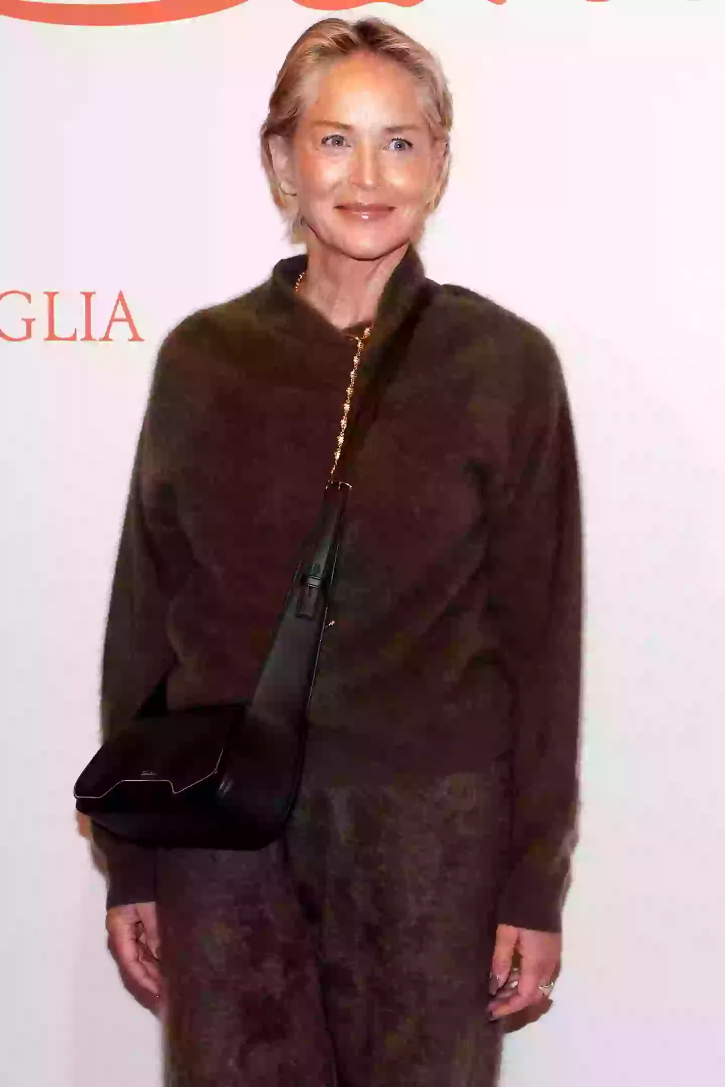 She faced scrutiny over the role in the 90s (Stefania D'Alessandro/Getty Images)