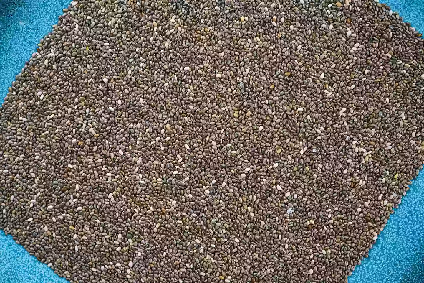 Just think of the fibre in all those chia seeds, probably best to pace yourself (Roberto Machado Noa/LightRocket via Getty Images)