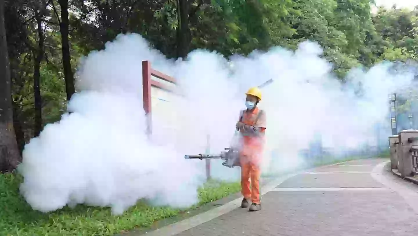 The Chinese government has implemented measures to eradicate the disease (VCG/VCG via Getty Images)