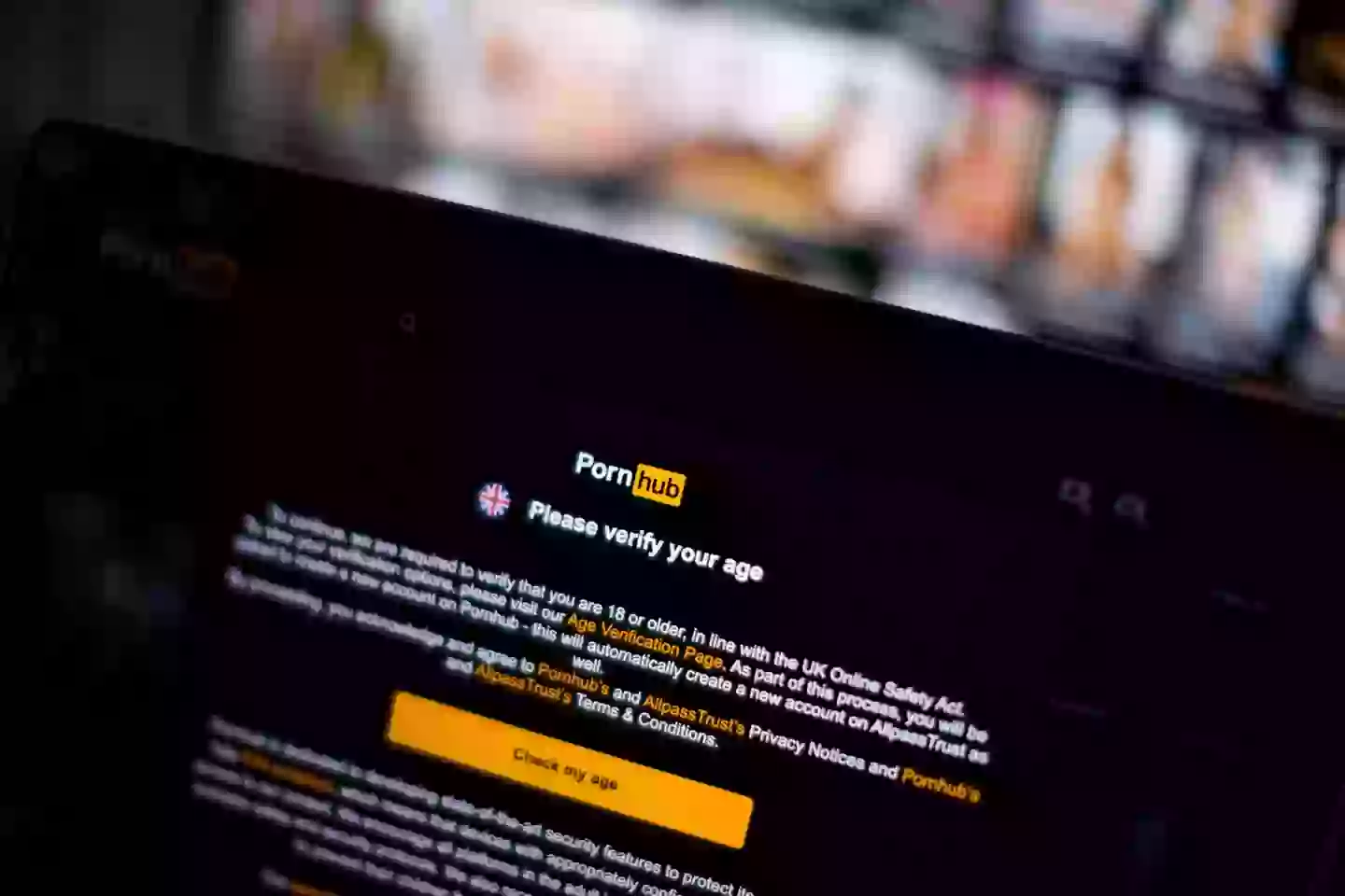 Users now have to verify their identity before gaining access to the adult site (Jack Taylor/Getty Images)