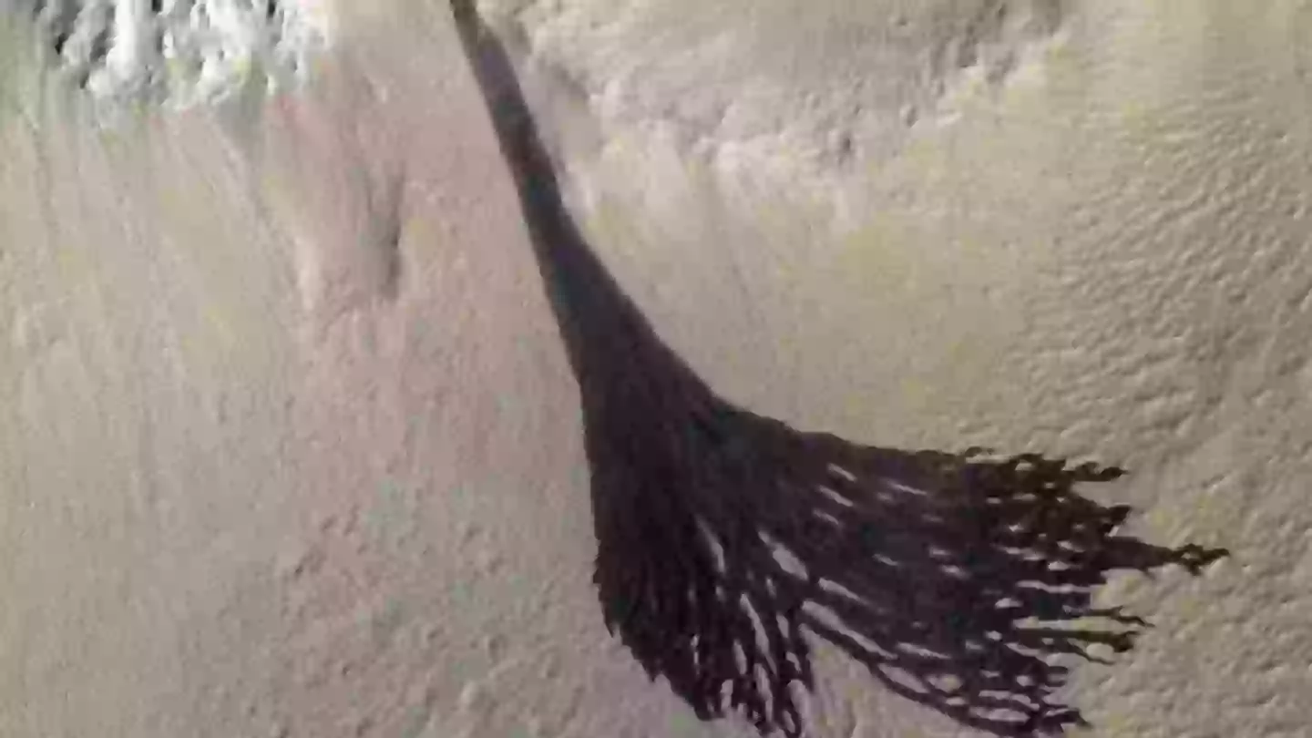 راز لکههای روی سطح مریخ؛ آیا واقعا آب وجود دارد یا فقط گرد و غبار است؟ 2 Researchers think they've solved the mystery of dark markings found on Mars surface