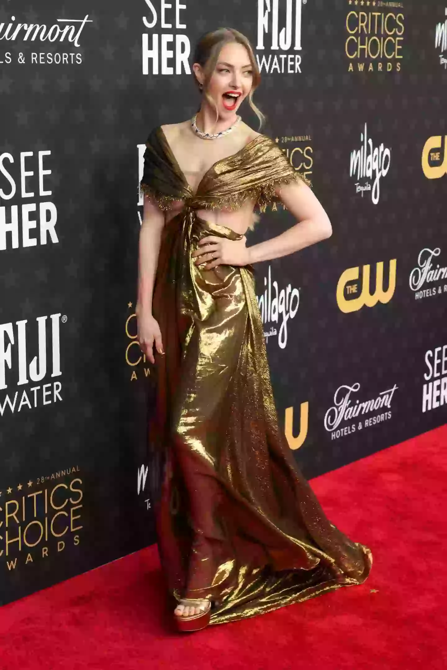 The dress didn't survive the night. (Jeff Kravitz/FilmMagic)
