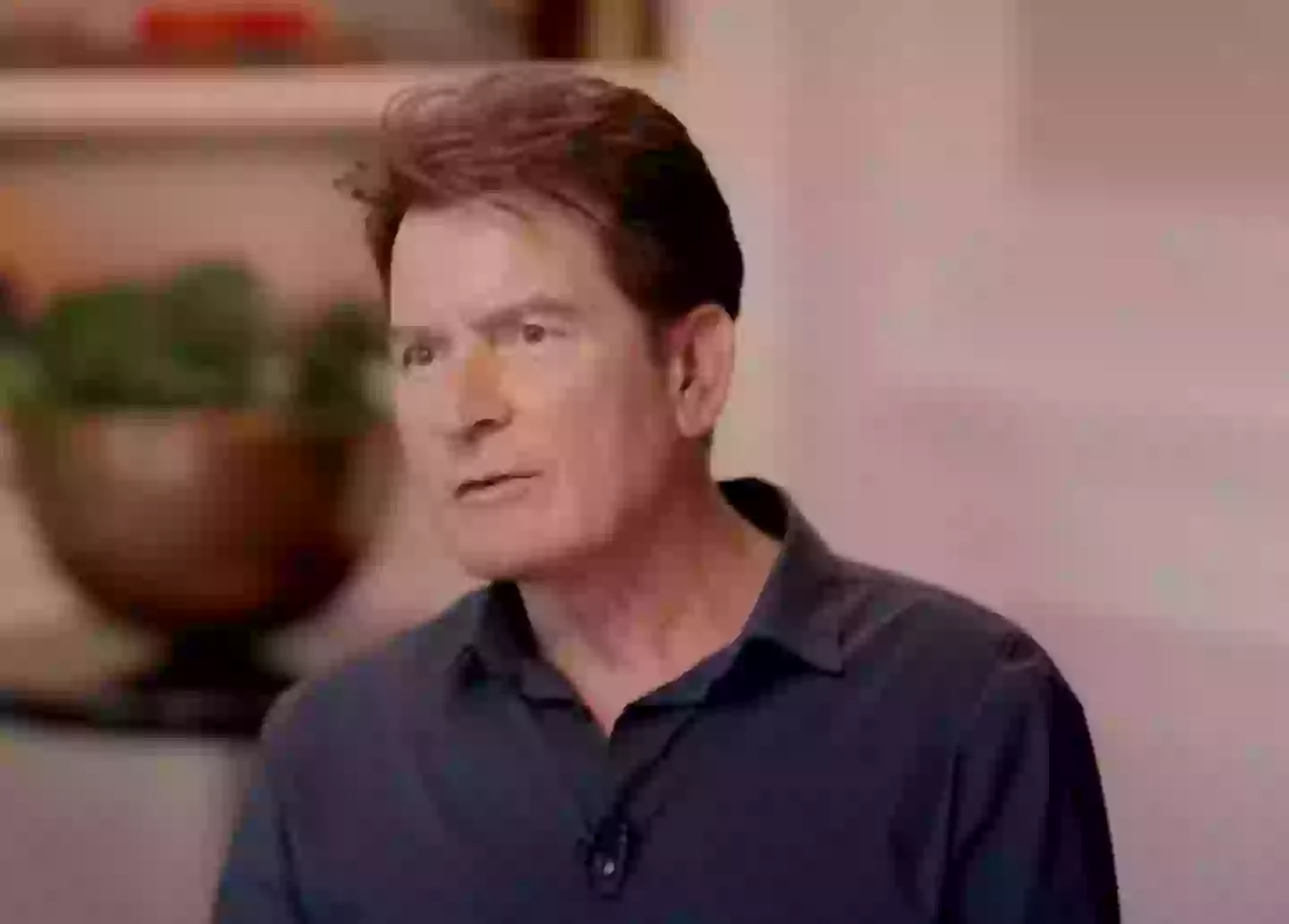 Sheen says he doesn't recognise his former self (ABC)