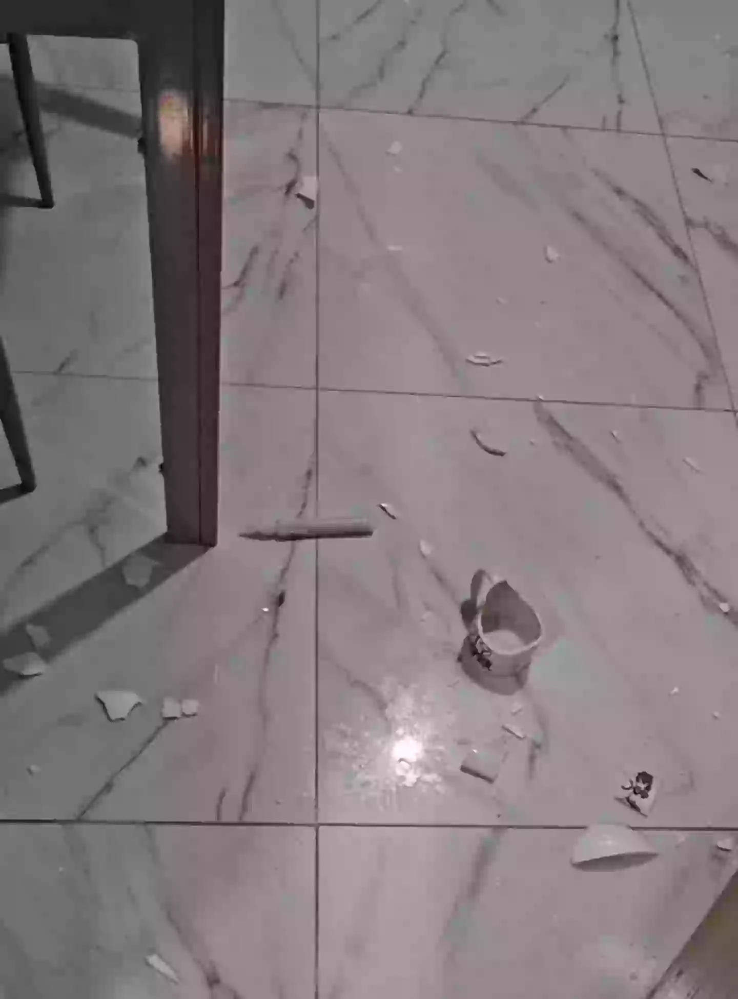 Smashed cups, glass and frozen chips also littered the floor (TikTok/Homelea.stays)