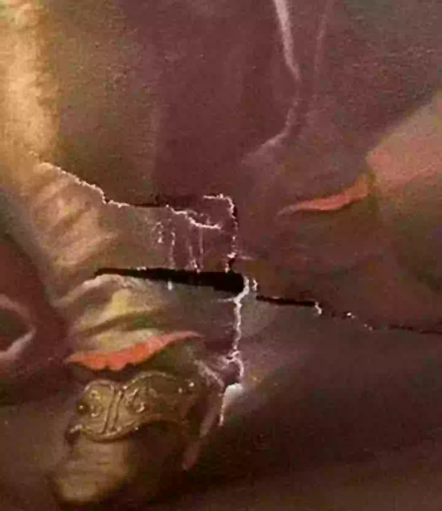 The small gash was not considered to be major damage (NewsX)