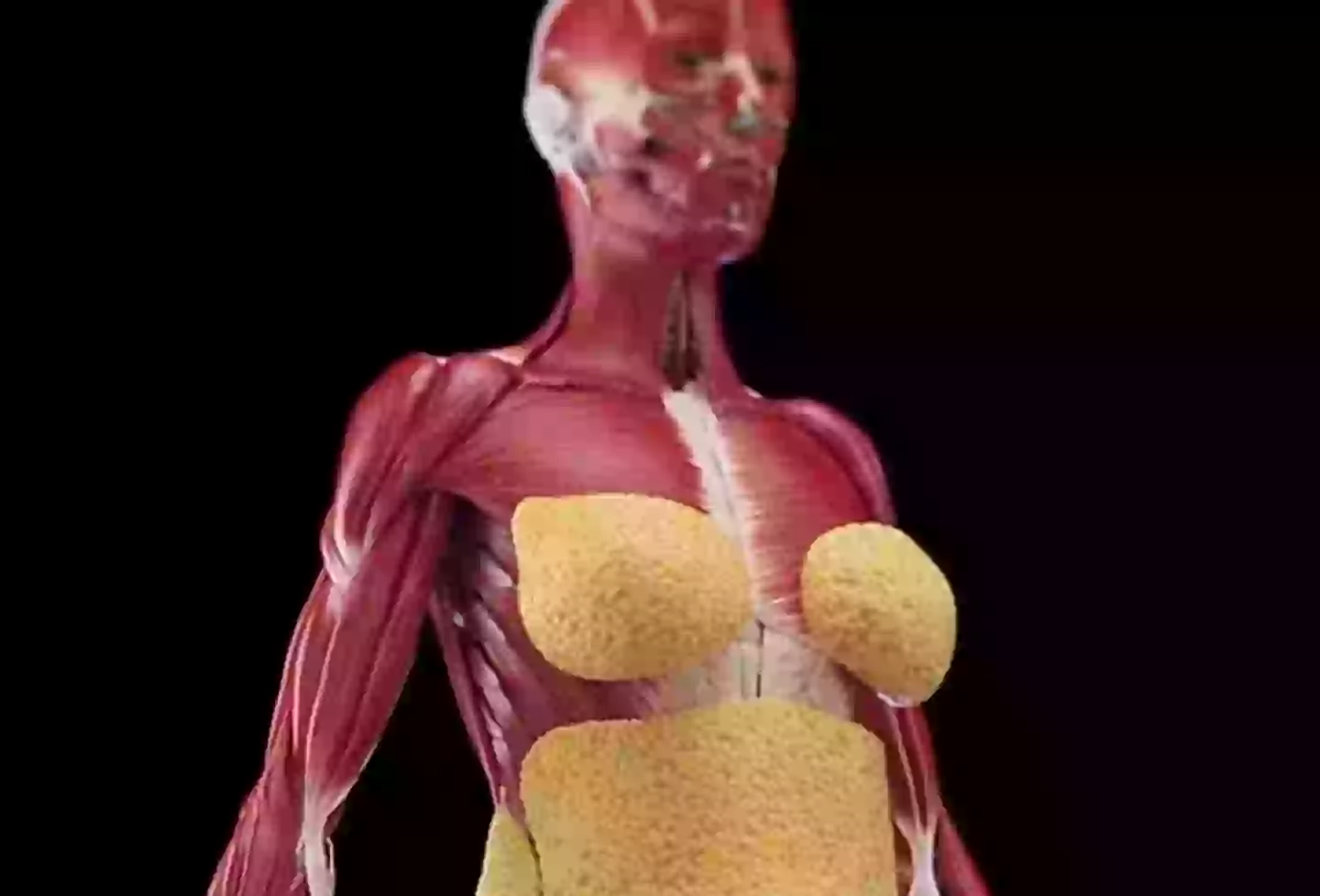 Perhaps the strangest part of these fasting videos is the fact that your skin seems to vanish without food (YouTube/TrainAiFit)