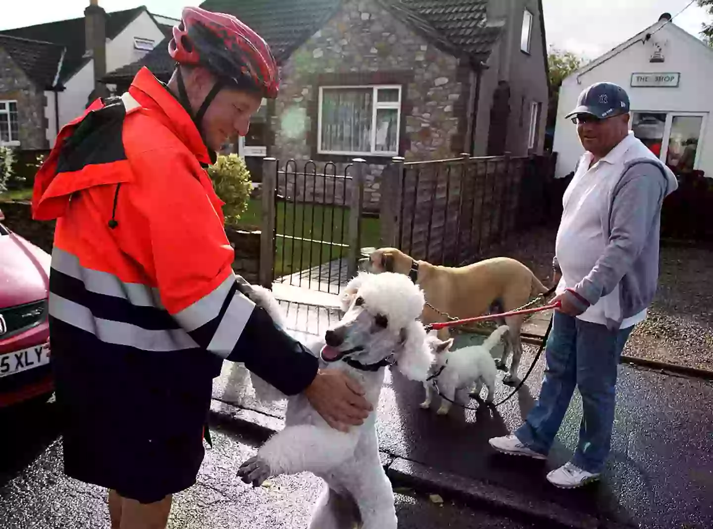 Not every interaction between dog and postie is this friendly (Matt Cardy/Getty Images)