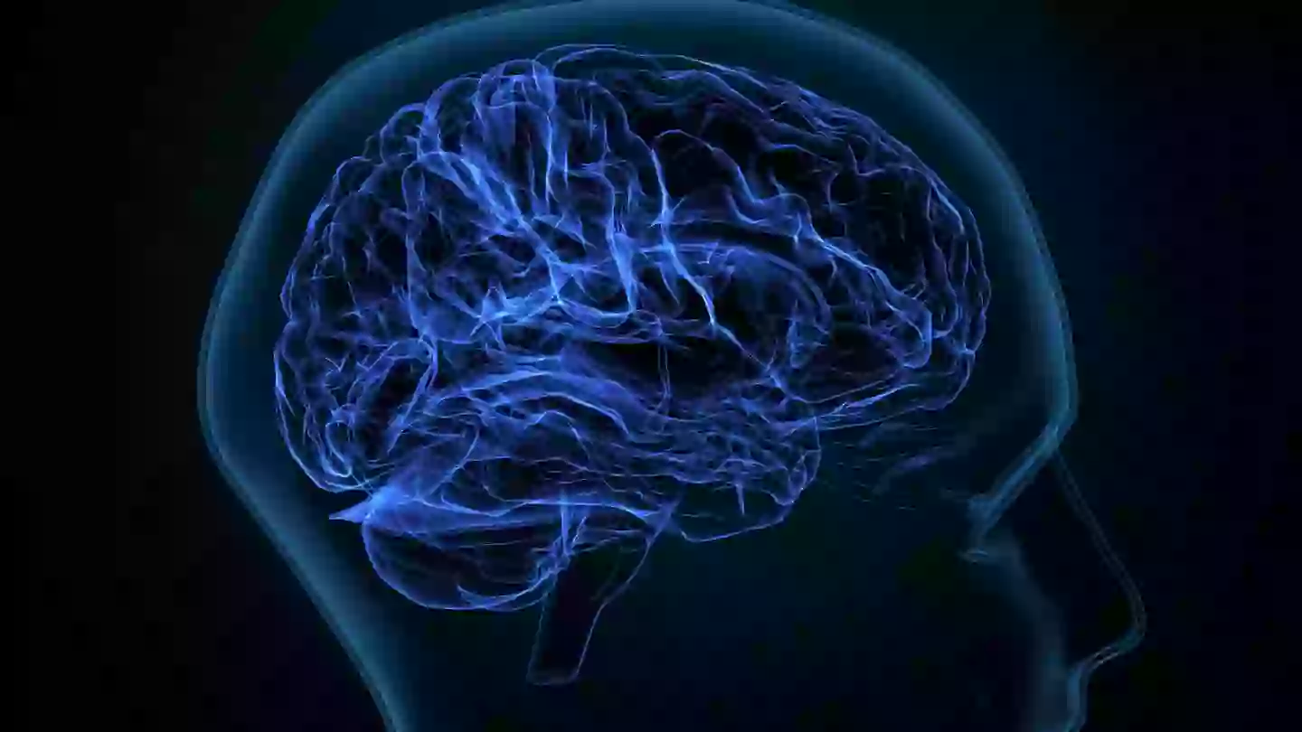 Dopamine is known as a 'feel-good' hormone (Getty Stock Image)