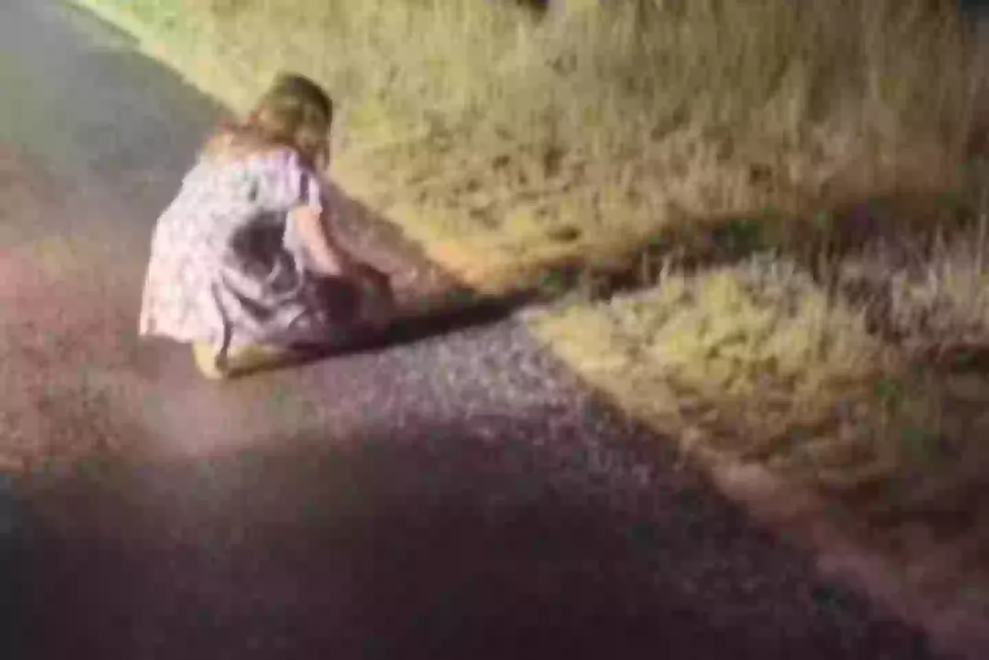 SAM-JONES-WOMBAT-VIDEO Influencer flees Australia after taking baby wombat from its mother in distressing footage - World News