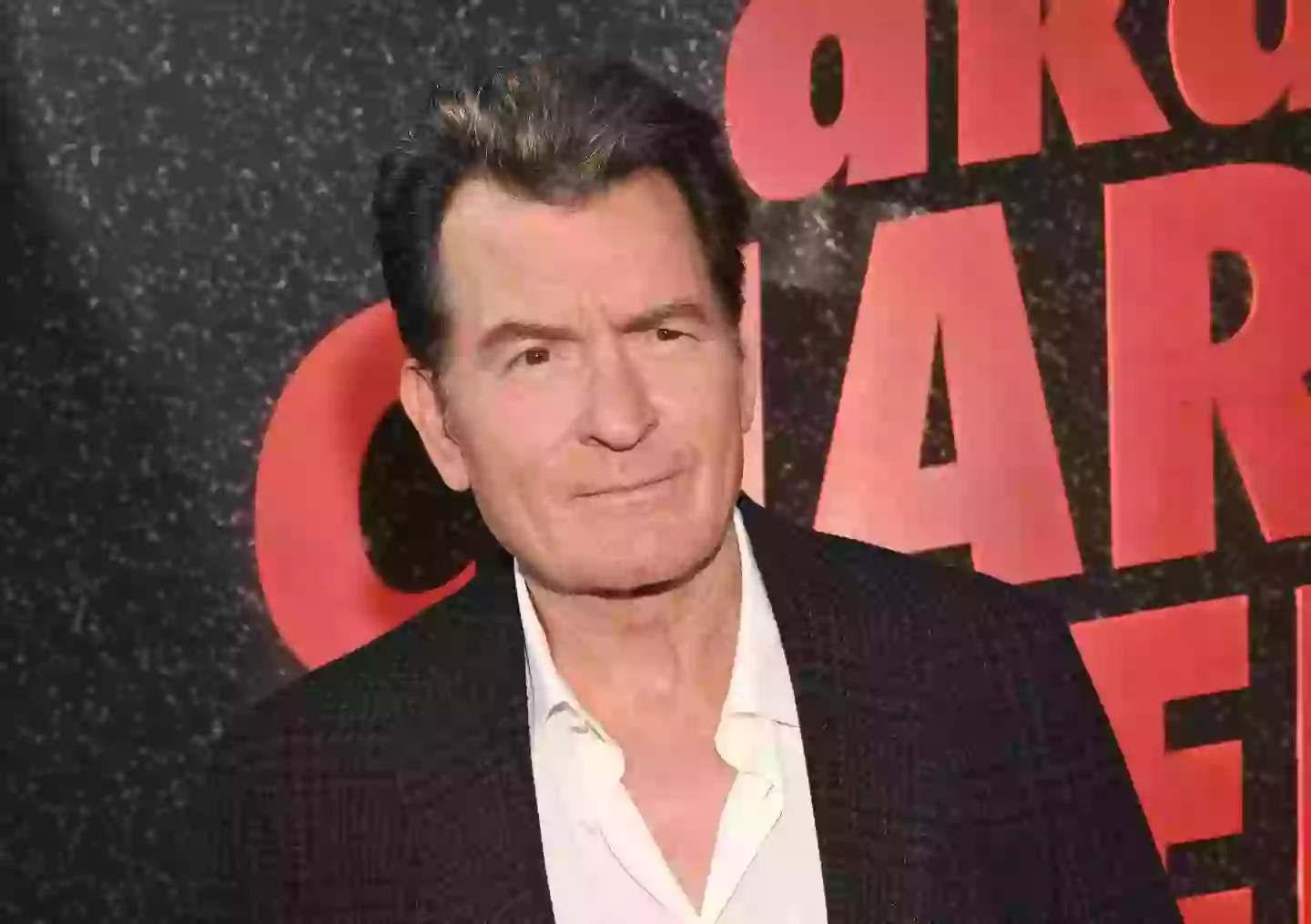 Charlie Sheen said he'd been single as long as he'd been sober (Michael Buckner/Variety via Getty Images)